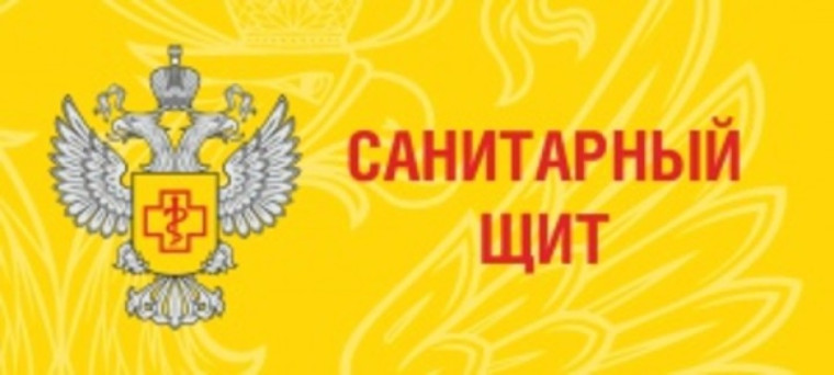 «Профилактика гриппа и ОРВИ».